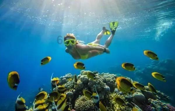 探索知识星球平台,加入如何确定女生是不是喜欢你?的行列